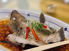 -寻味顺德·南记酒家·传统顺德菜·鱼生(广源路店)