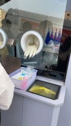 -大连市妇女儿童医疗中心集团(春柳妇产院区)