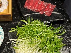 -阳坊涮肉(西直门凯德mall店)