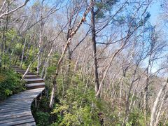 -白草畔自然风景区