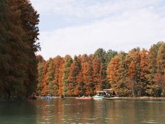 -上海海湾国家森林公园