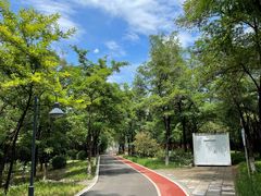 -云岗森林公园