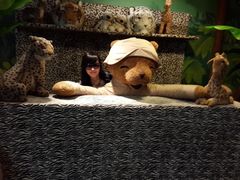 -济州岛泰迪熊博物馆