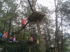 -梦幻奥陶纪景区