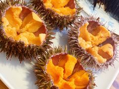 -海胆小馆(东北水饺·春柳店)