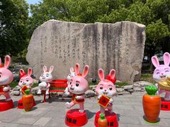 -溱湖国家湿地公园