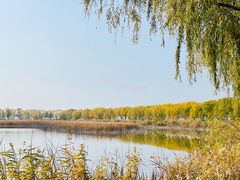 -野鸭湖国家湿地公园