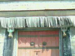 -济南国际园博园