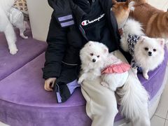 -怪兽屋·羊驼·猫咖·狗咖(俊华广场店)