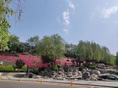 -西安曲江寒窑遗址公园