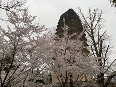 -西安博物院
