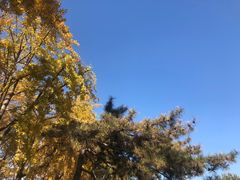 -钓鱼台国宾馆