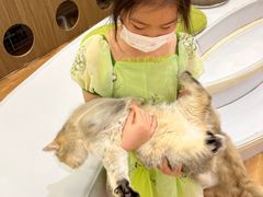 -COLOR PETS 撸猫馆·购猫·猫咖(长风大悦城店)