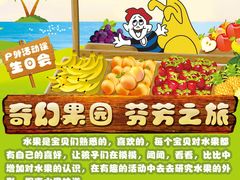 -兜莱·亲亲袋鼠国际早教