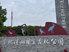 -合肥滨湖国家森林公园