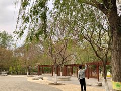 -大兴滨河森林公园