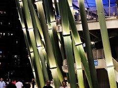 -深圳市宝安体育中心体育场