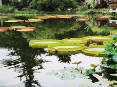 -国家植物园南园