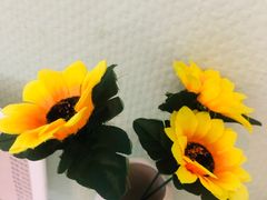 -小白桦西餐厅