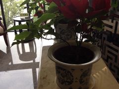 -上海怡沁园度假酒店