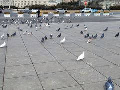 -大连人民广场