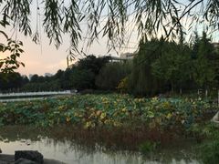 -西南政法大学(渝北校区)