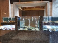 水产区-许家菜(望江店)