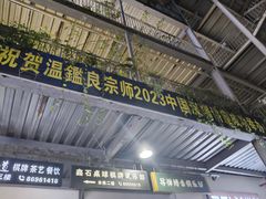 -温鉴良实用咏春拳