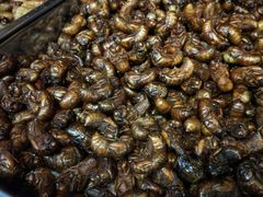 -昆虫窝子·特色云南菜(拓东路总店)