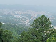 -火炉山森林公园