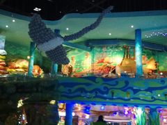 -青岛嘉年华主题乐园