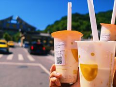 -放哈·甜醅子奶茶创造者(阳光丽景湾店)