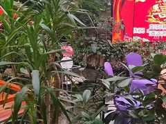 -九尊食上(生态园林酒店)