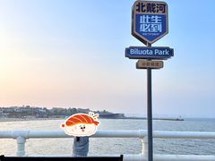 -北戴河碧螺塔海上酒吧公园