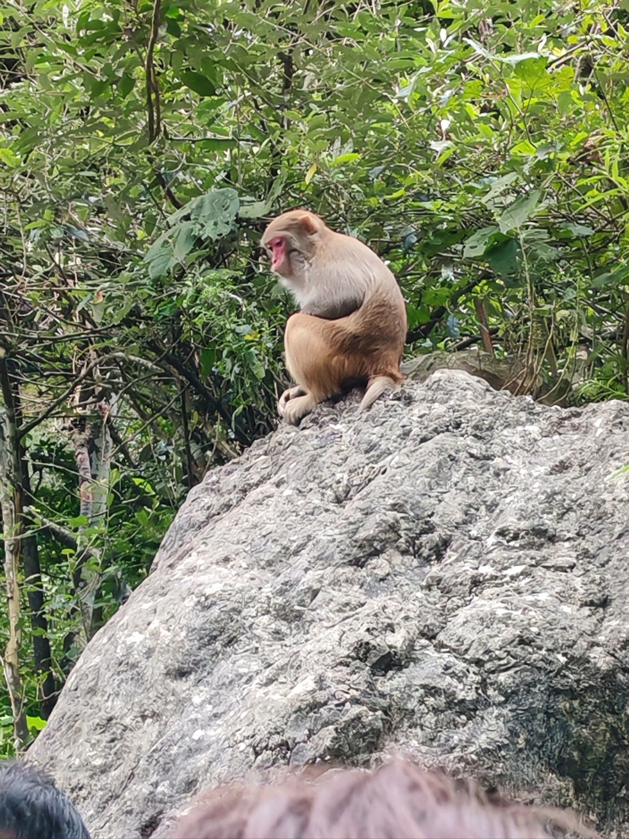 张家界国家森林公园