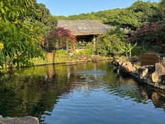 -富国岛珍珠游乐园