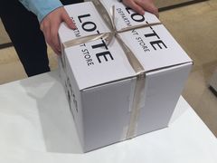 -乐天免税店(明洞店)