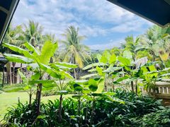 -海南清水湾莱佛士酒店