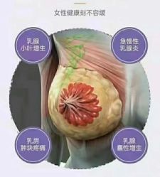 点击看大图 -紫琪尔胸部养护中心