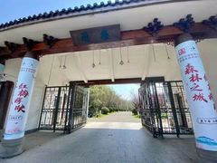 -上海海湾国家森林公园