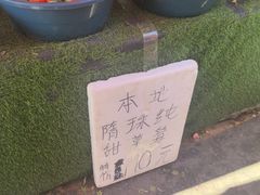 -南坛综合农贸市场