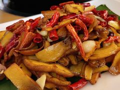 -鲜菌江湖正宗野生菌火锅