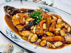 -丁老爷子苏香圆