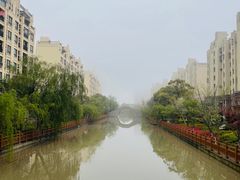 -高东镇樱花园