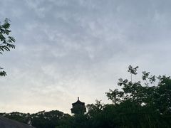 -上海佘山国家森林公园天马山园