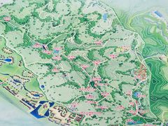 -神光山国家森林公园