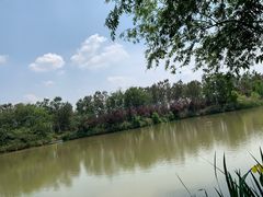 -白鹭湾湿地公园