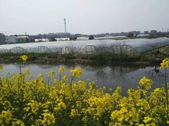 -上海多利农业发展有限公司