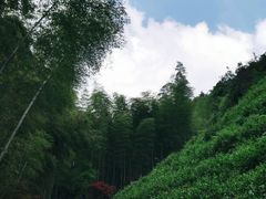 -径山寺