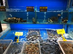 水产区-溏心风鲍港式打边炉(余英坊店)